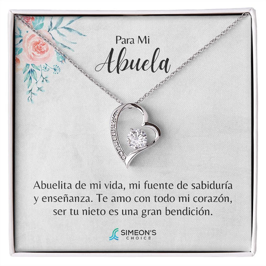 Para mi Abuela  Abuelita de mi vida, mi fuente de  sabiduría y enseñanza. Te amo con  todo mi corazón, ser tu nieto es  una gran bendición.